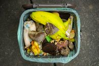 Banana Fruit and Meat in Blue Plastic Container