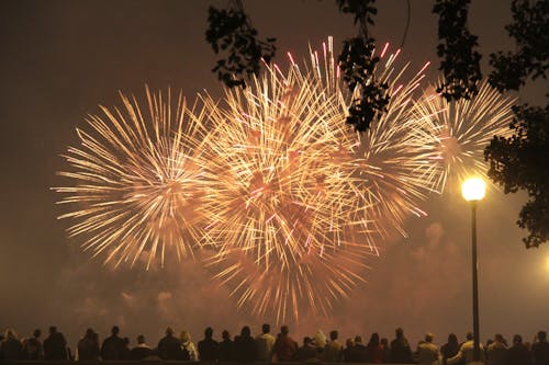 Fireworks Display During Night Time