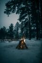 Person in Brown Coat Standing on Snow Covered Ground