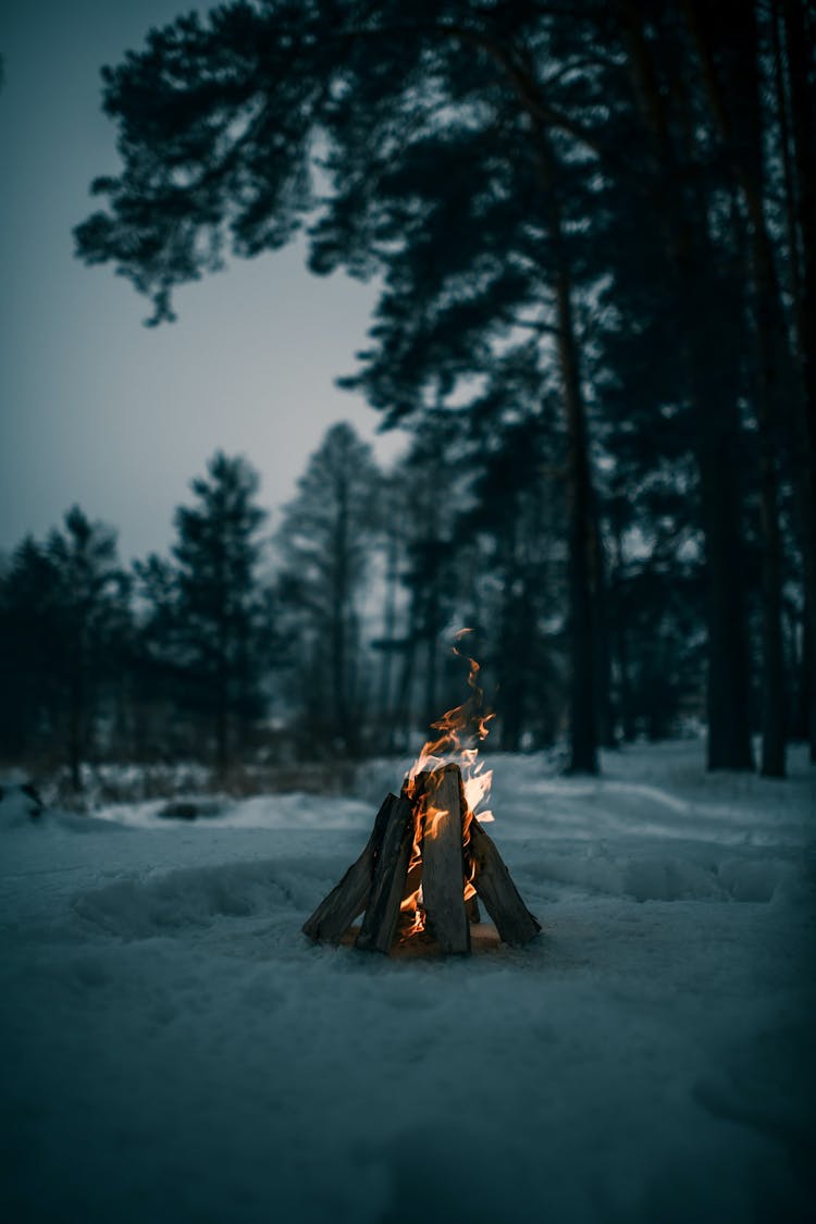 A Campfire On A Snow Covered Ground