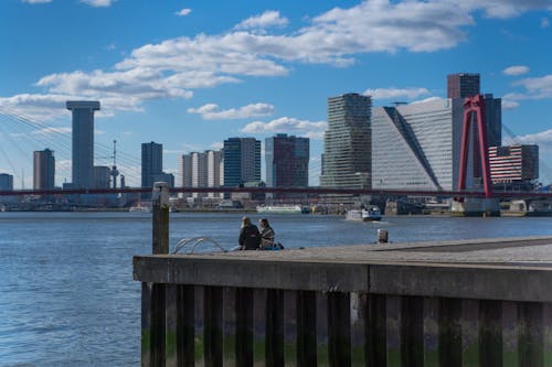 Бесплатное стоковое фото с вид на залив, голубое небо, мост