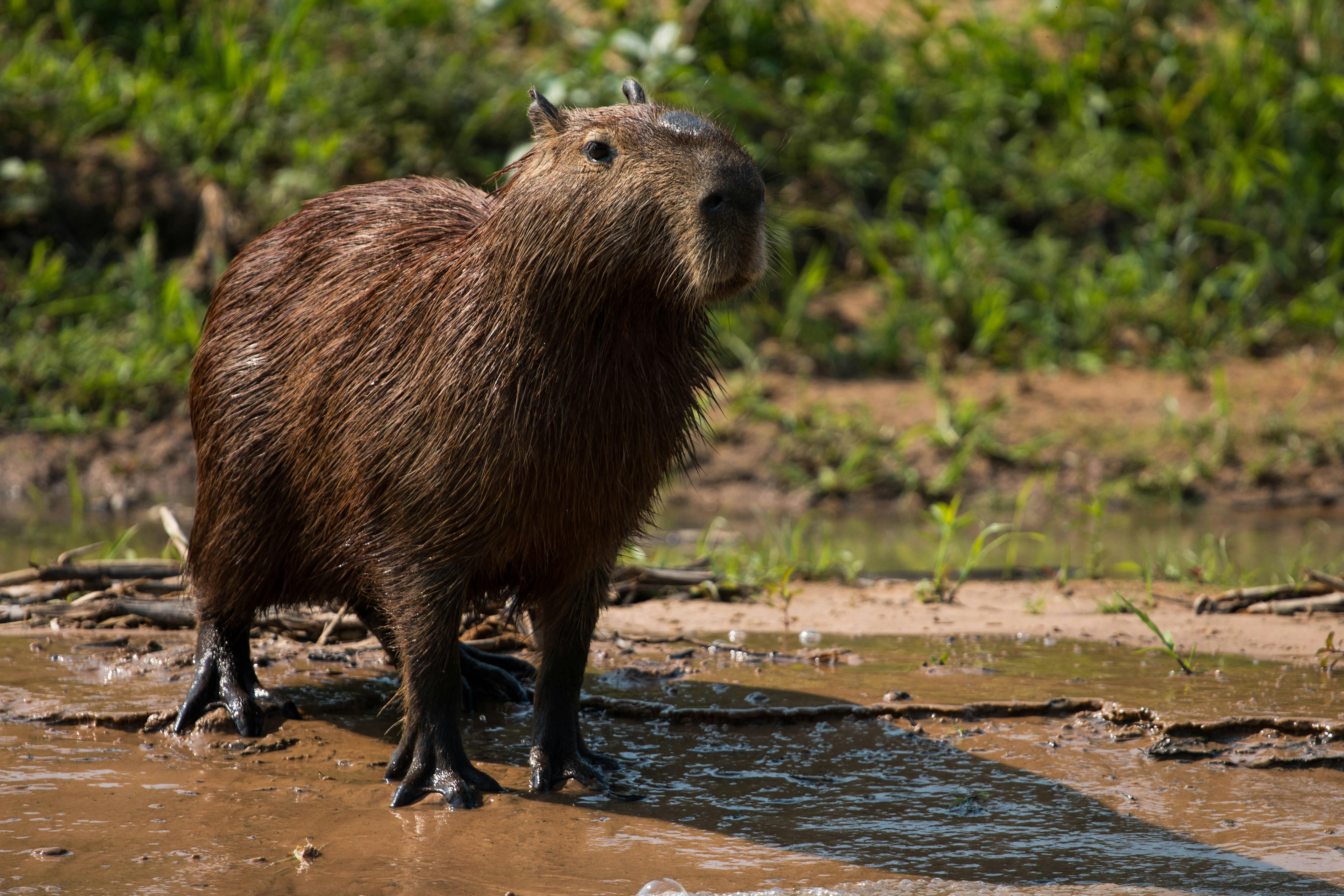 Modern city hotel exterior at night