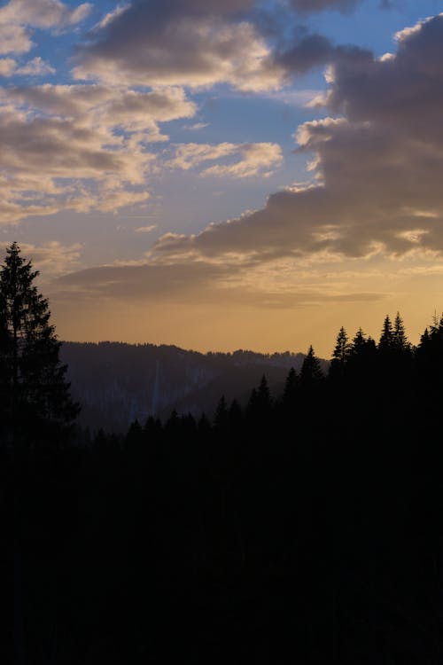 Foto d'estoc gratuïta de a l'aire lliure, alba, amb silueta