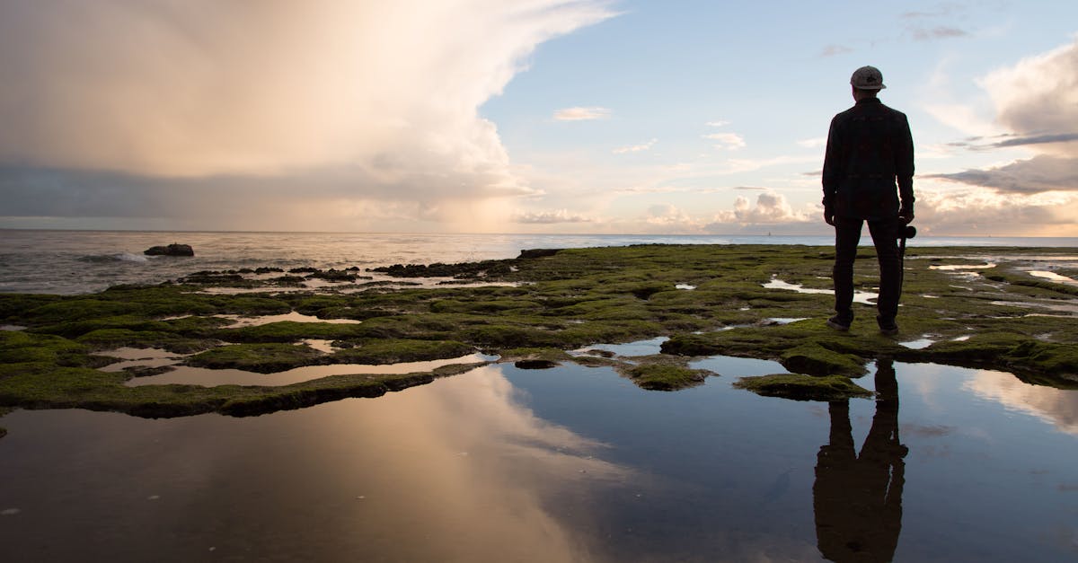 Валентин Берестов - У реки