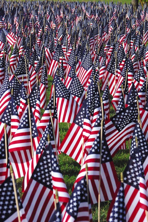 American Flags on Grass