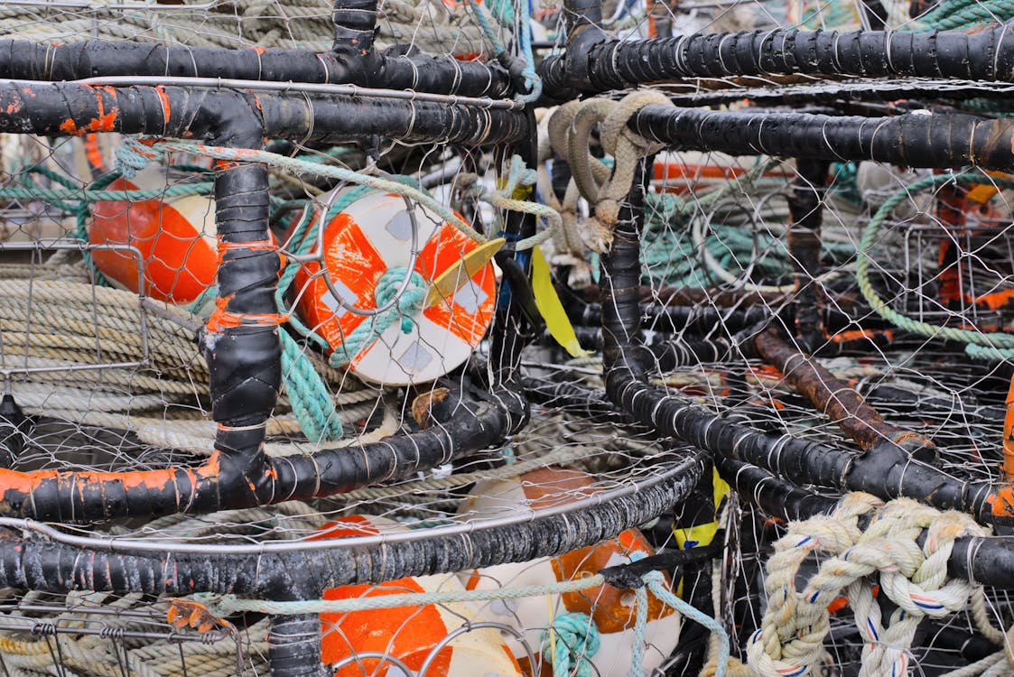 Photograph of Crab Traps · Free Stock Photo