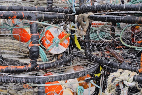 Free 捕蟹器, 捕魚設備, 網格 的 免費圖庫相片 Stock Photo