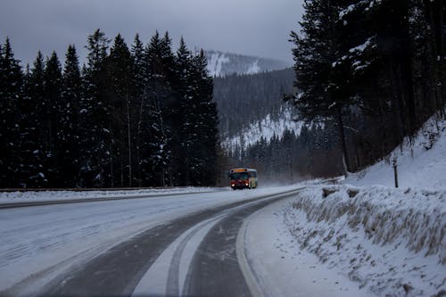 Free stock photo of art, bus, colorado