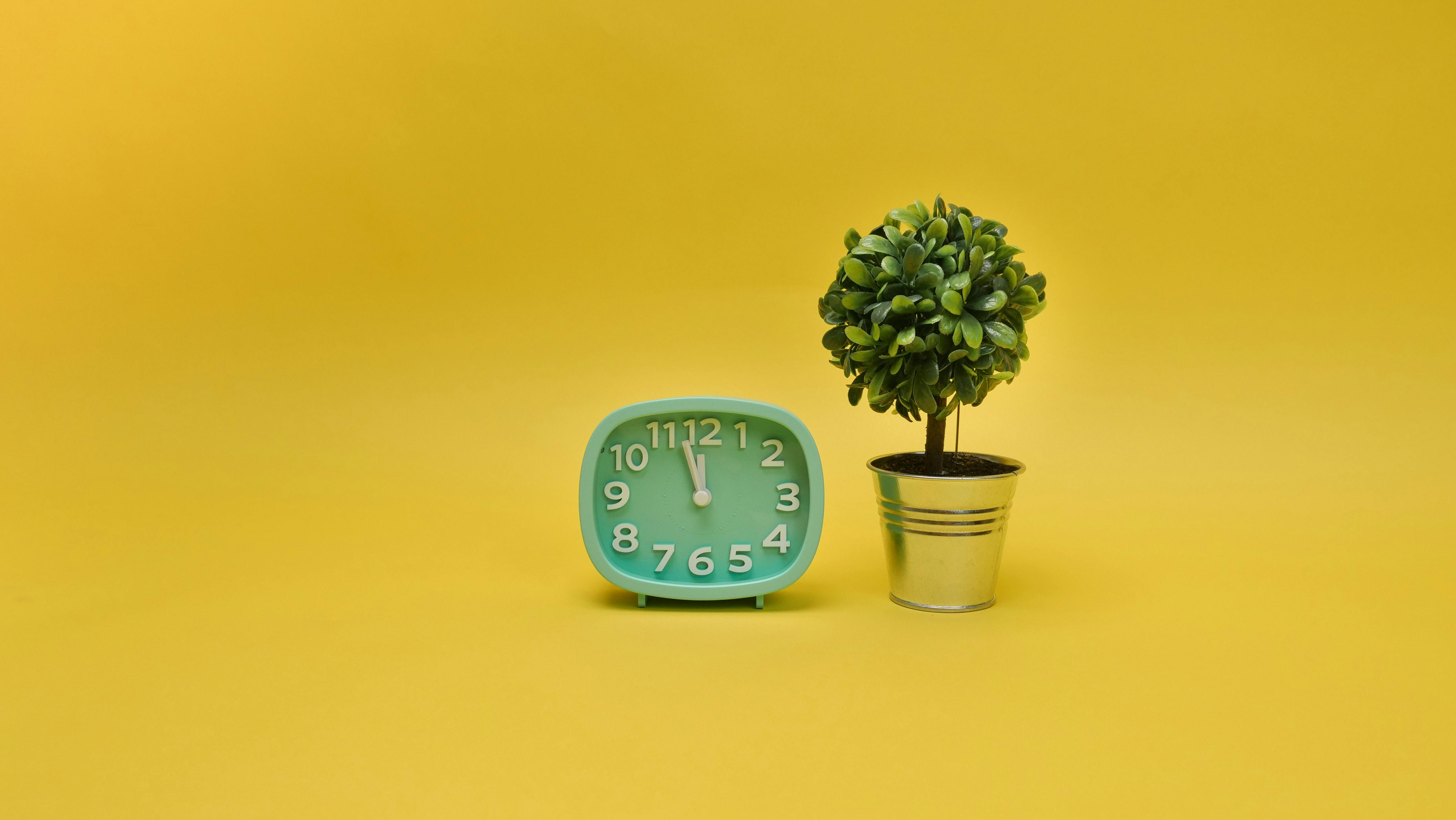 My 2026 tech resolution: Time to update that aging smart home network — Photo by Kindel Media on Pexels