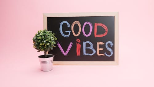 Free Wooden Blackboard Near a Potted Plant Stock Photo