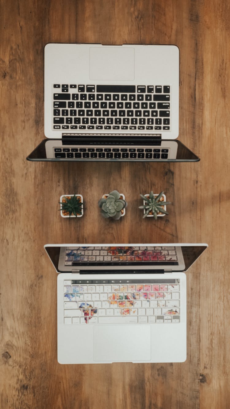 Overhead Shot Of Laptops Near Succulents