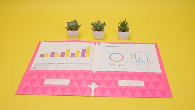 Colorful budget report with graphs and succulents on a bright yellow background.