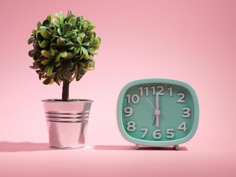A green alarm clock and potted plant against a pink backdrop create a modern aesthetic.
