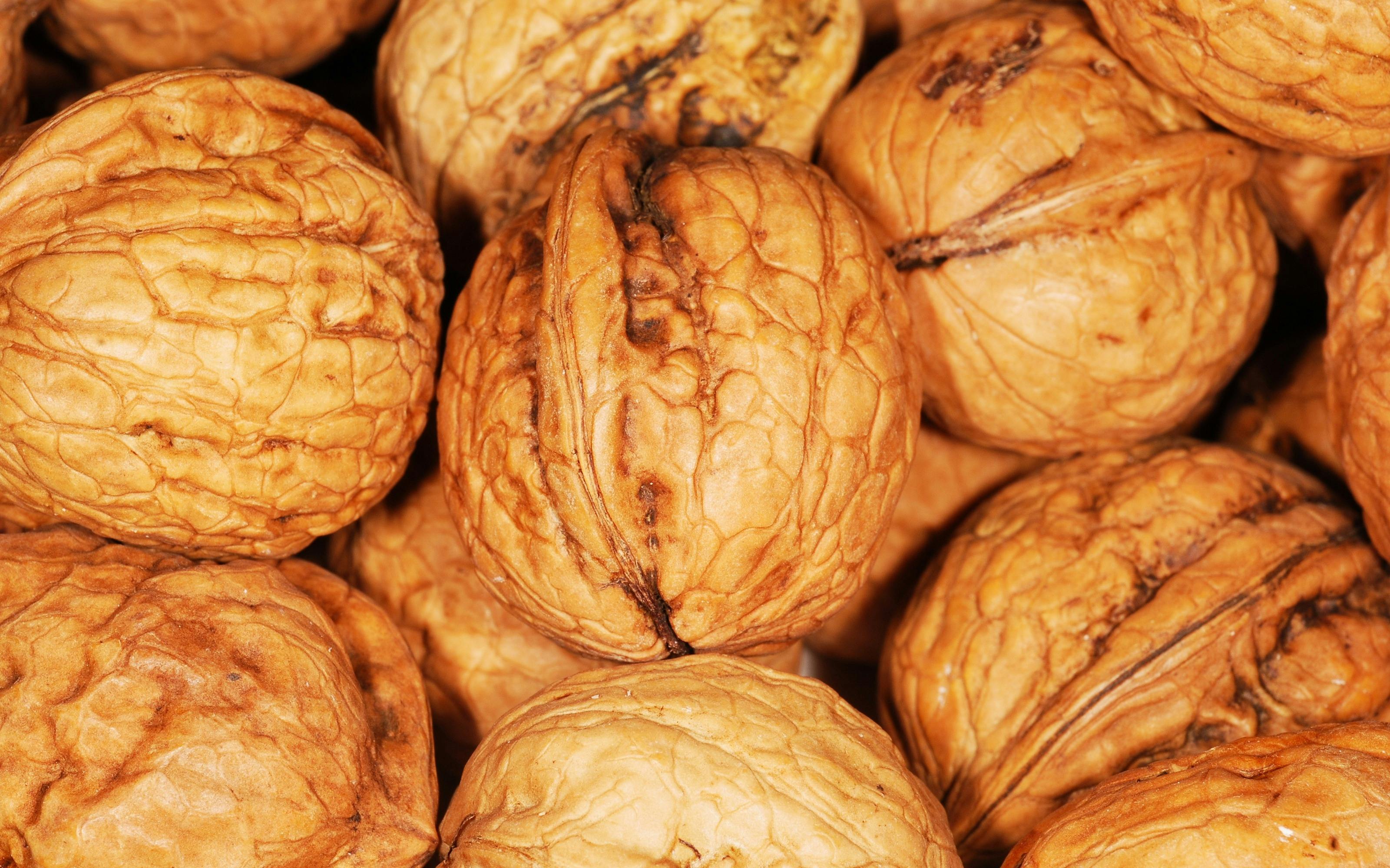 walnuts-in-the-jar-free-stock-photo