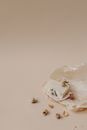 White Plastic Bag on White Textile