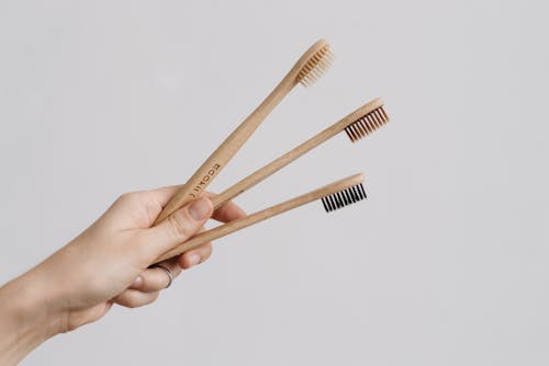 Free Hand of a Person Holding Three Wooden Toothbrushes Stock Photo