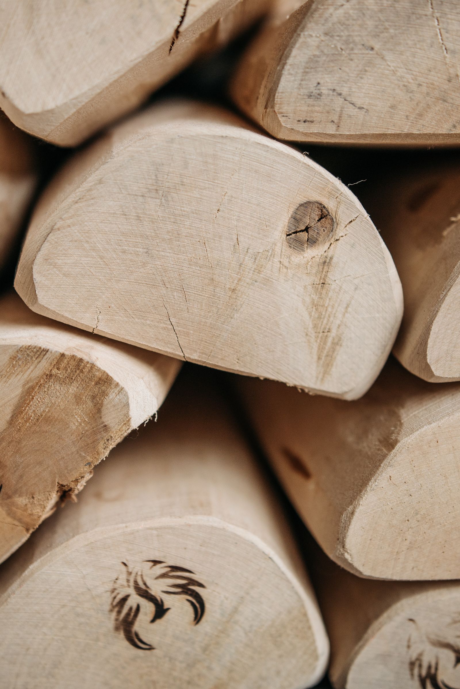 Illustrative timber photograph showing the natural grain of cut logs