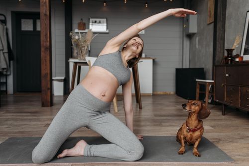 Free Pregnant woman practicing yoga with a dachshund indoors promoting healthy lifestyle. Stock Photo
