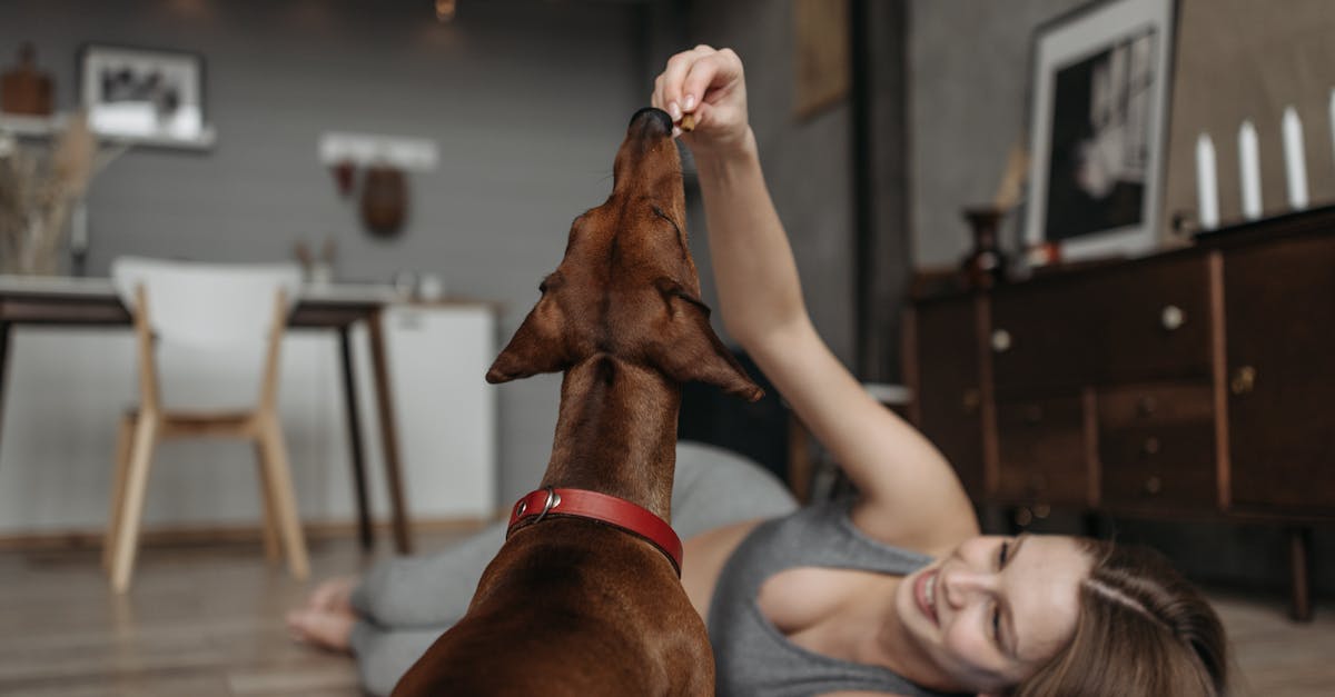 6 Times Women Mistake Manipulation for Loyalty