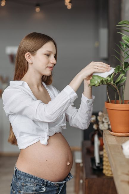 gardening wellness personal development
