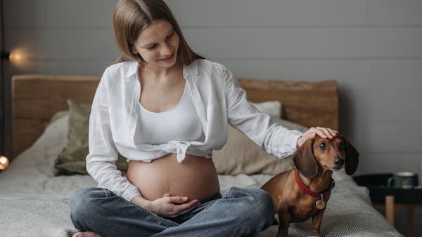 A pregnant woman sitting on a bed with her dog, enjoying a cozy indoor moment.