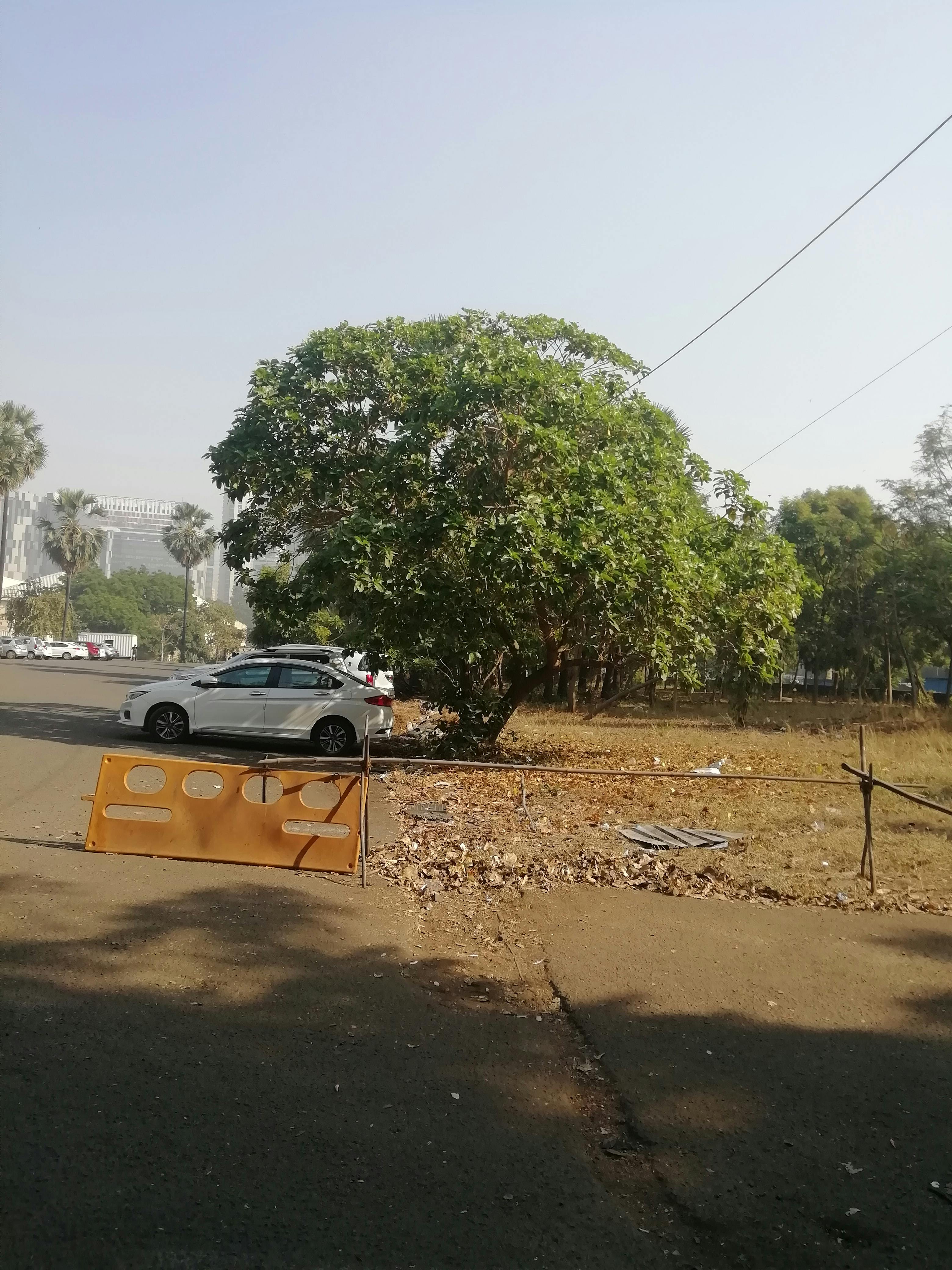 Pregnant woman relaxing and planning with a digital tablet