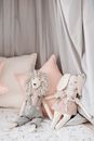 Stuffed Toys in the Nursery Room