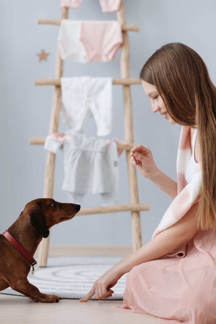 A Woman Training Their Pet Dachshund Dog