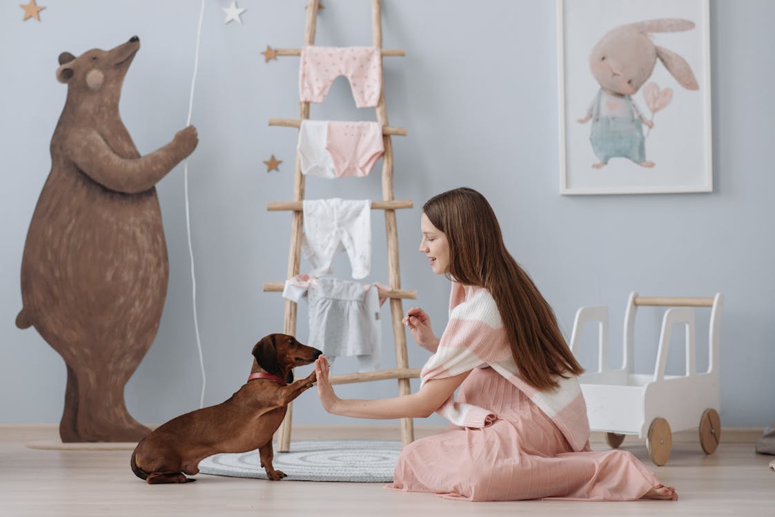 Free A Pregnant Woman Training Her Dog Stock Photo
