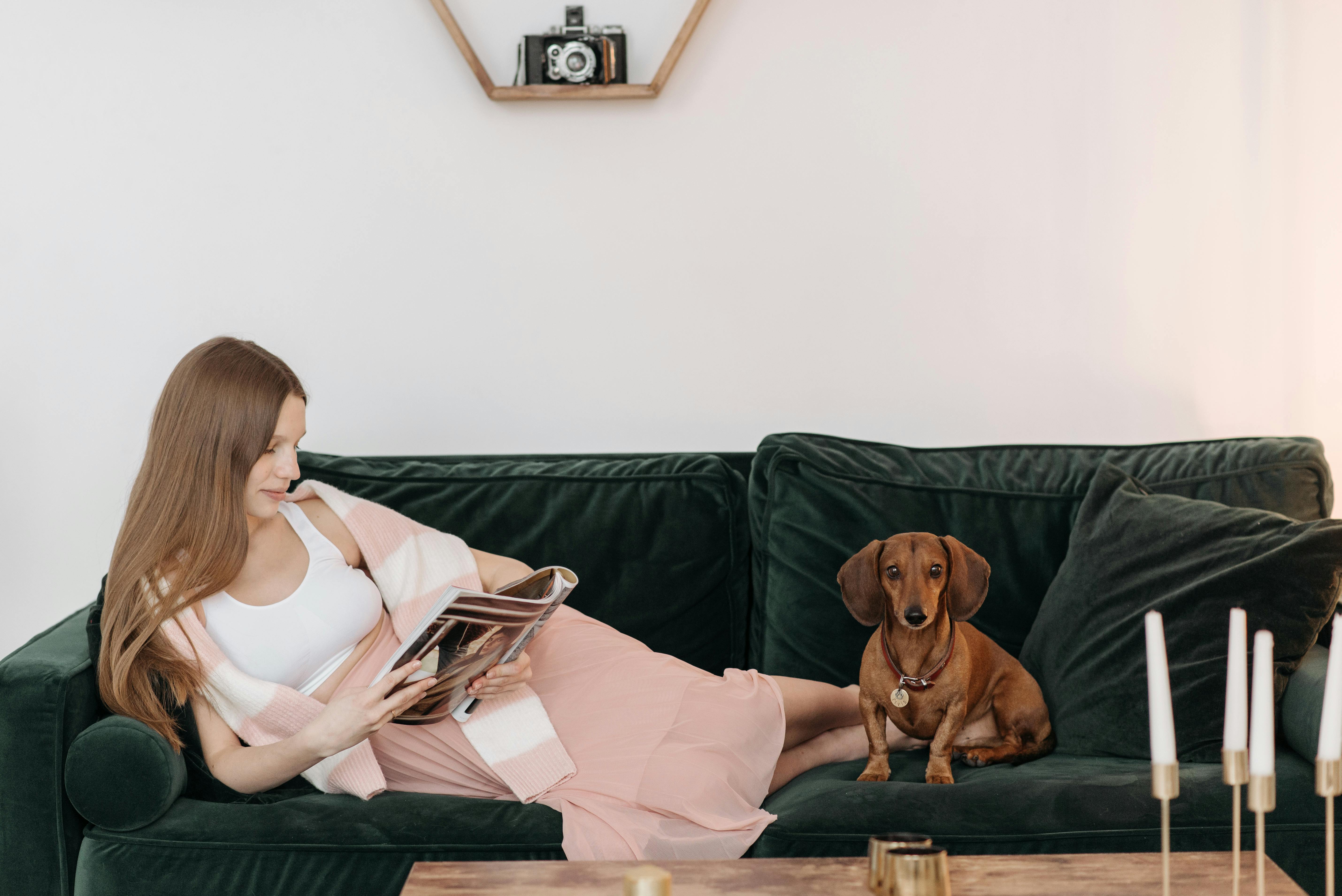 A person reviewing a lease agreement with their dog sitting calmly beside them - dog friendly apartments for rent in chicago