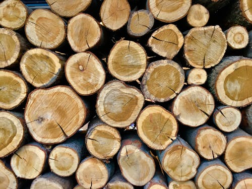 Free stock photo of background, brown, logs Stock Photo