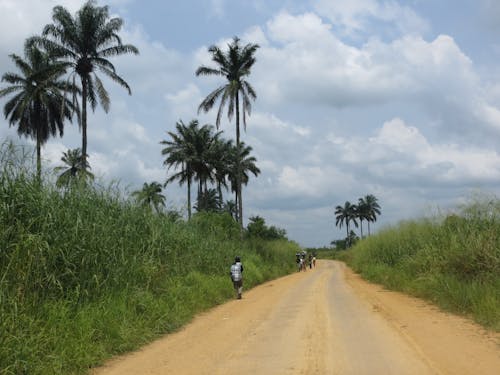 คลังภาพถ่ายฟรี ของ สาธารณรัฐประชาธิปไตยคองโก