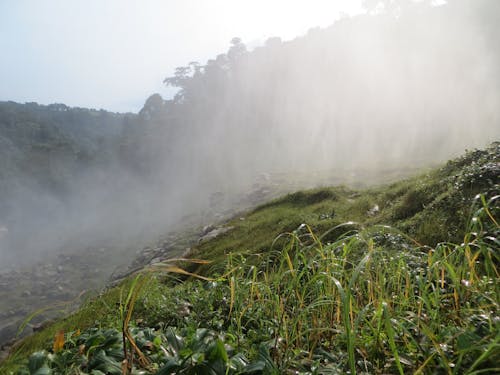 zongo瀑布, 瀑布, 薄霧 的 免費圖庫相片