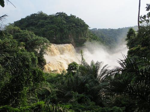 คลังภาพถ่ายฟรี ของ น้ำตก, น้ำตก zongo, สาธารณรัฐประชาธิปไตยคองโก