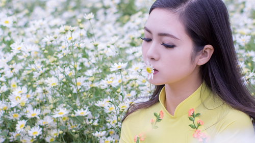 Free A young woman smelling a daisy in a vibrant field of flowers. Stock Photo