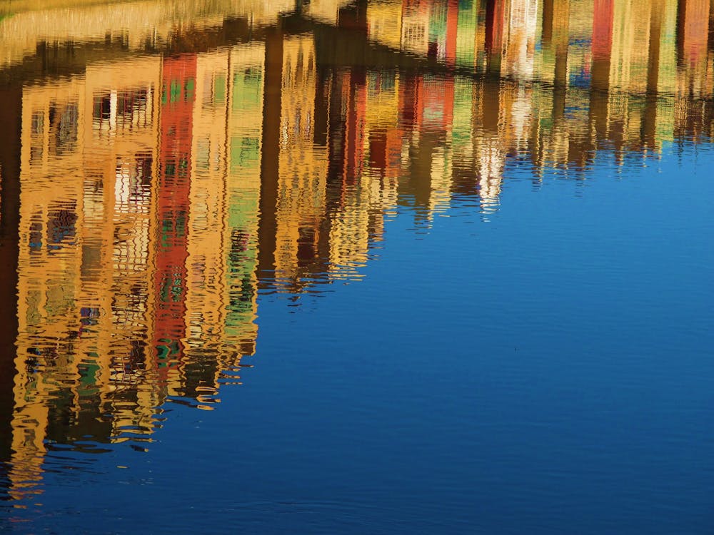 무료 낮 동안 침착 한 수역의 고층 건물 반영 스톡 사진