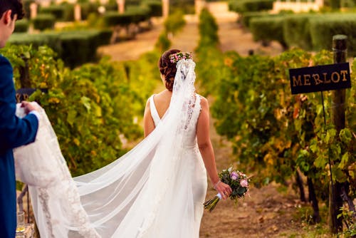 婚紗禮服, 後視圖, 新娘 的 免費圖庫相片