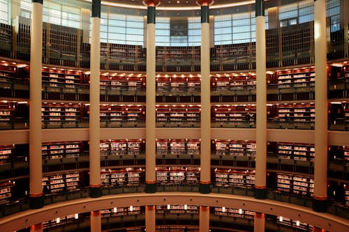 Foto d'estoc gratuïta de biblioteca presidencial, biblioteca pública, gall dindi