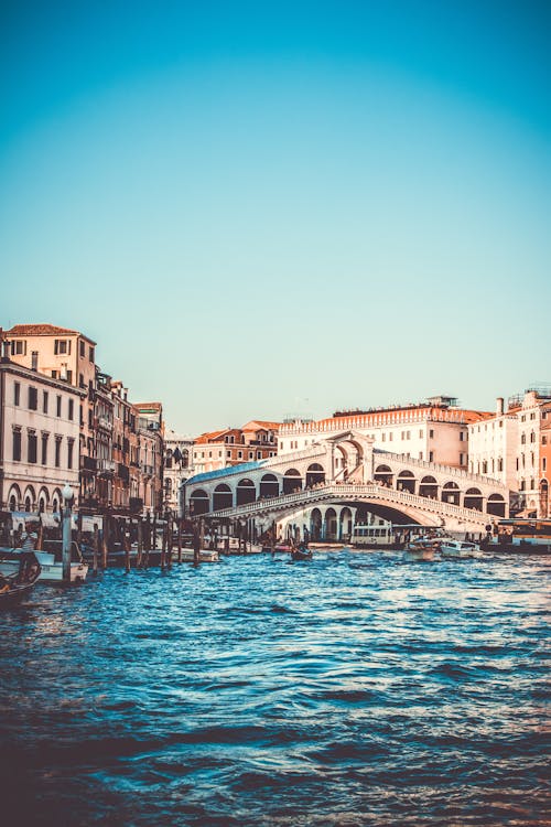 Free Rialto Bridge in Venice Stock Photo