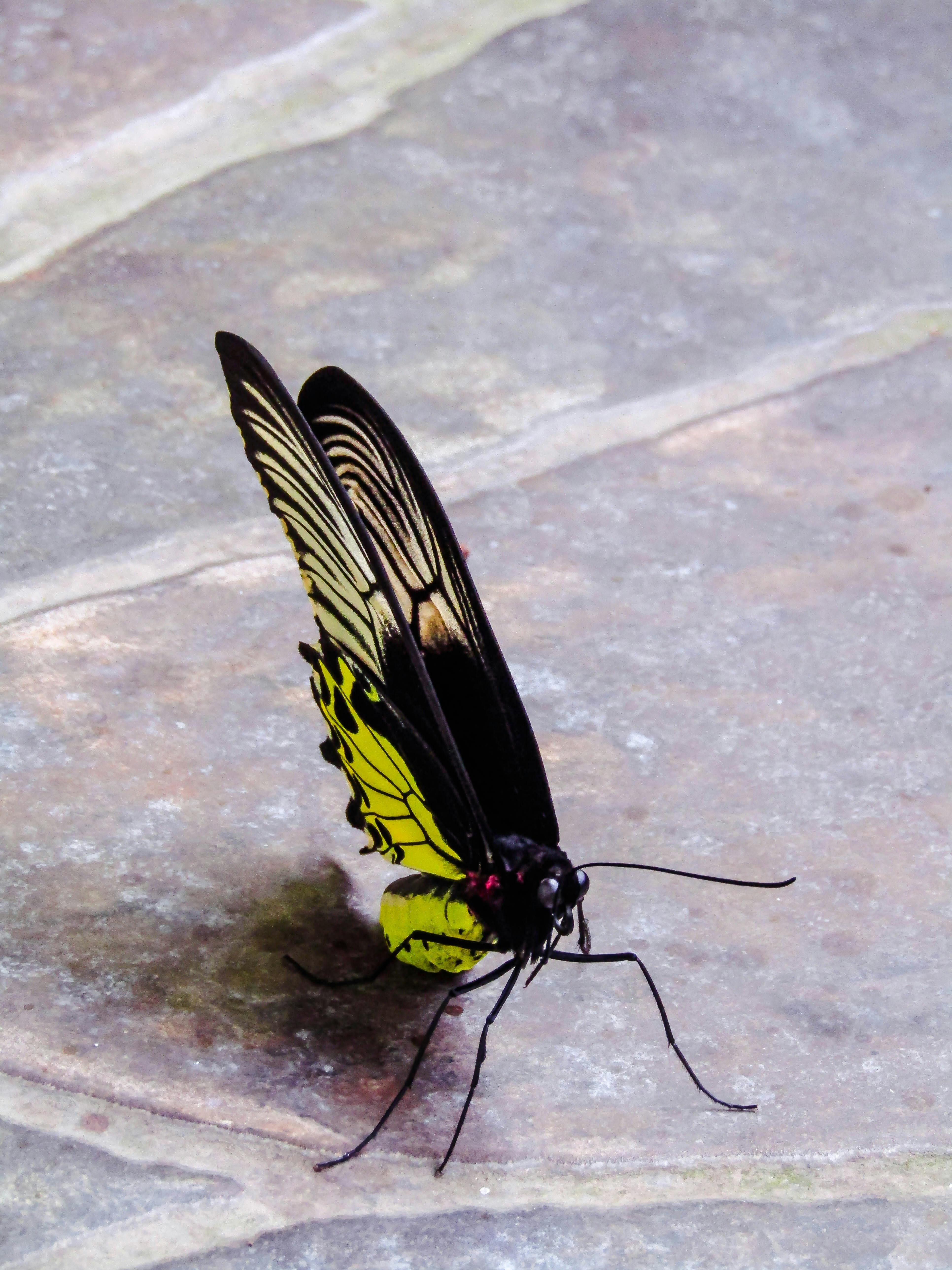 Retirement Calculator