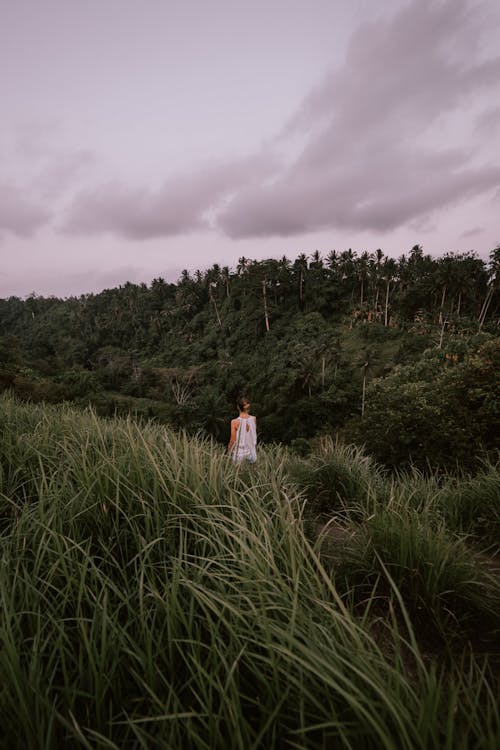 Distant anonymous tourist standing on grassy field near woods with green trees against cloudy sky in countryside on summer day