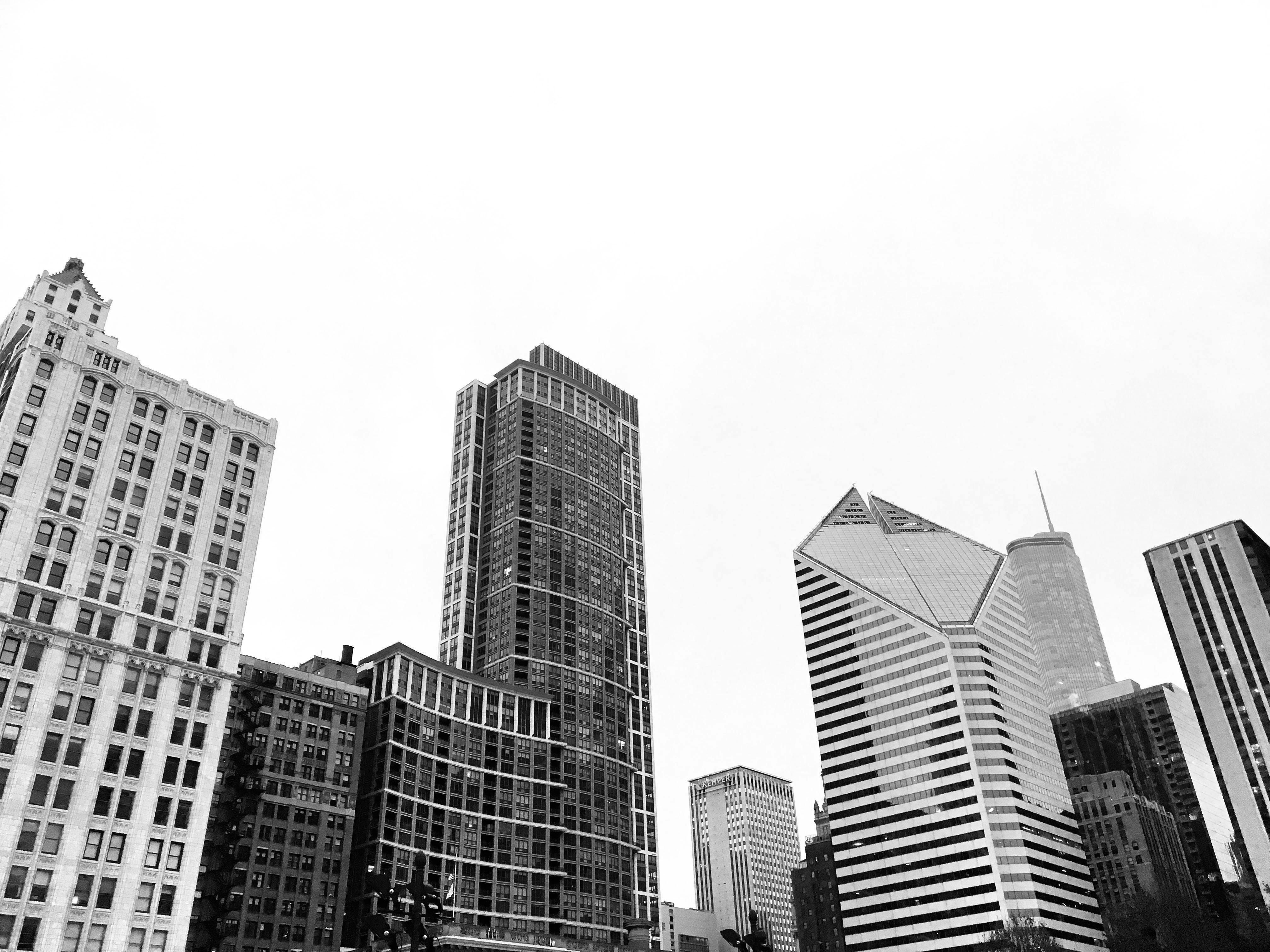 Situs Pendidikan & Kursus Online