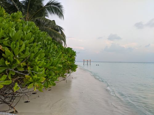 Free Rippling water with wooden pillars washing sandy coast with lush green plants and palms against sky with clouds in tropical resort Stock Photo