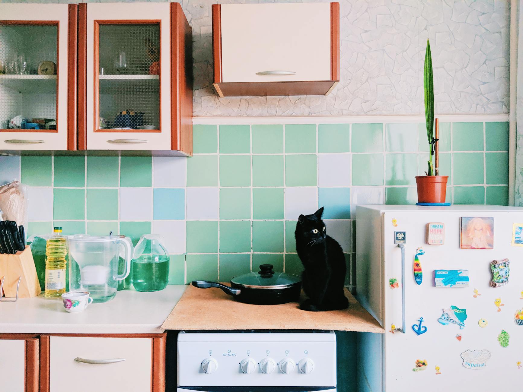 Cat sitting on stove in kitchen with cupboards