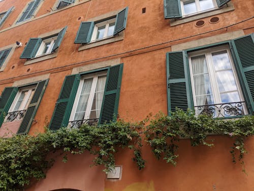 Brown exterior of old fashioned residential building decorated with green plants and with shutters on windows with curtains on street