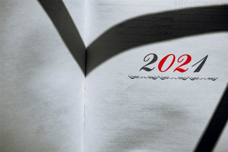 2021 Number On Page Of Diary With Shade