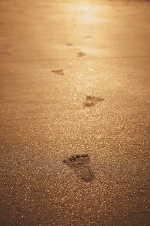 Gratis arkivbilde med sand, selektiv fokus, strand