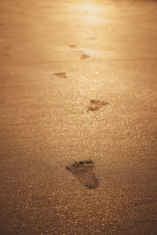 Free Tranquil footprints on golden sand during a sunlit beach sunset. Stock Photo