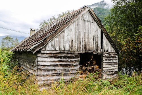 Fotos de stock gratuitas de abandonado, al aire libre, arboles