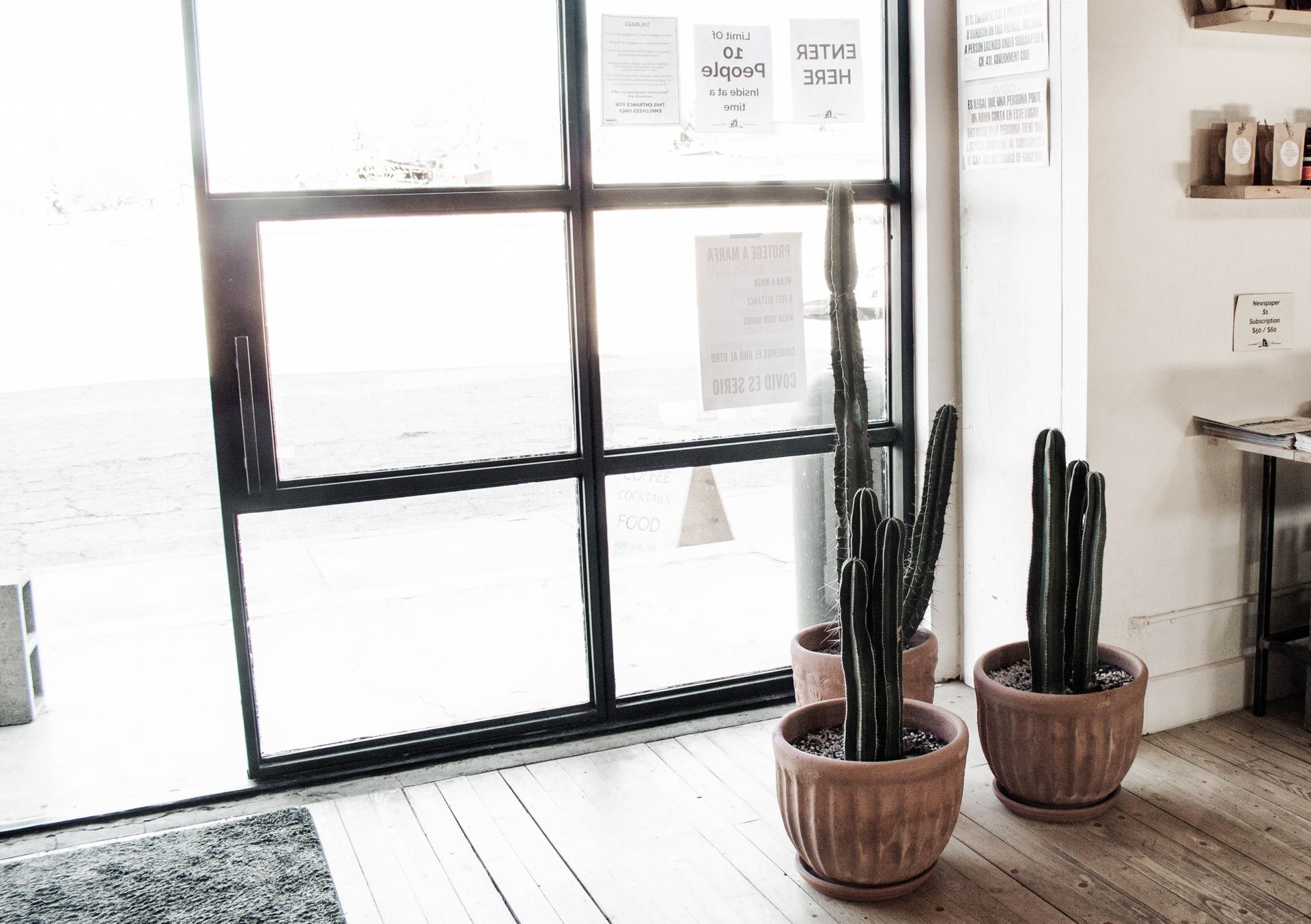 Three potted cacti in a minimalist indoor setting with ample natural light through a glass door.
